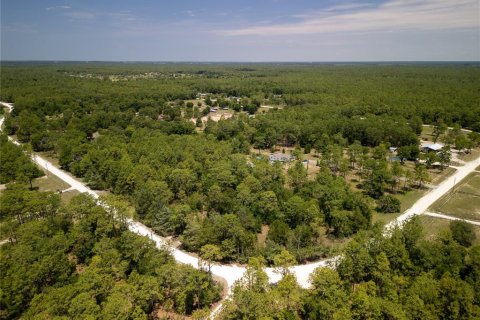 Terrain à vendre à Ocala, Floride № 1243935 - photo 18