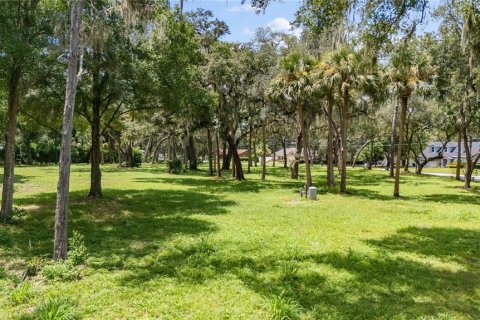 Terreno en venta en Sanford, Florida № 1301071 - foto 11