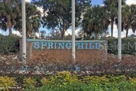 Terreno en venta en Spring Hill, Florida № 1406672 - foto 3