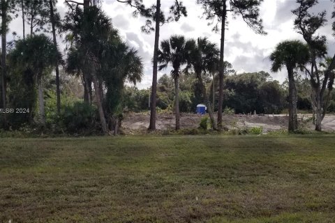 Land in LaBelle, Florida № 328979 - photo 1