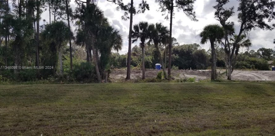 Land in LaBelle, Florida № 328979