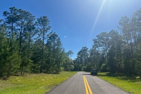 Terrain à vendre à Ocala, Floride № 1125890 - photo 6