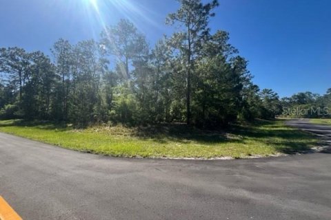 Terreno en venta en Ocala, Florida № 1125890 - foto 3