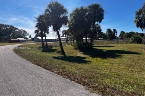 Terrain à vendre à Moore Haven, Floride № 781453 - photo 6