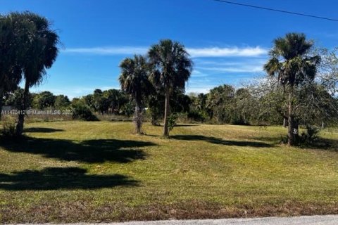 Купить земельный участок в Мур-Хейвен, Флорида № 781453 - фото 4