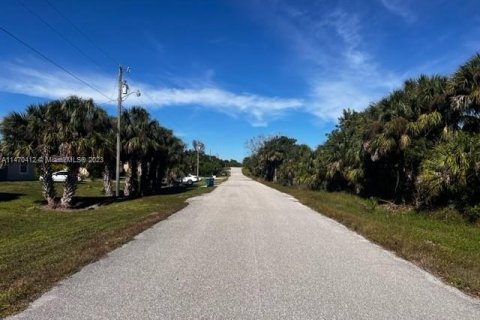 Terrain à vendre à Moore Haven, Floride № 781453 - photo 5
