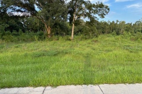 Terreno en venta en Chiefland, Florida № 1314357 - foto 3