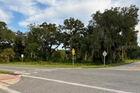 Terreno en venta en Chiefland, Florida № 1314357 - foto 4