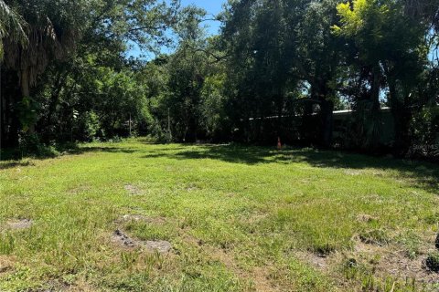 Land in Bradenton, Florida № 1323487 - photo 2