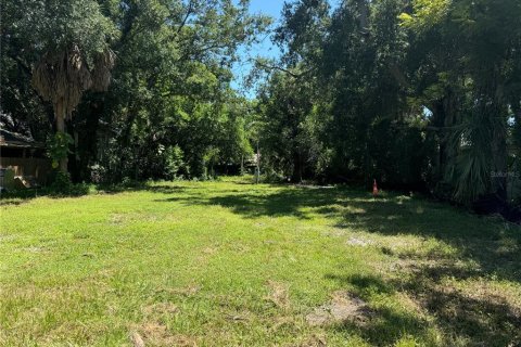 Land in Bradenton, Florida № 1323487 - photo 1