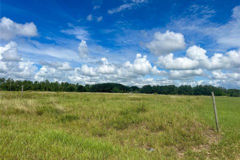 Land in Groveland, Florida № 1363635 - photo 8