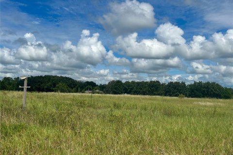 Land in Groveland, Florida № 1363635 - photo 9