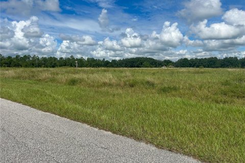 Terrain à vendre à Groveland, Floride № 1363635 - photo 5