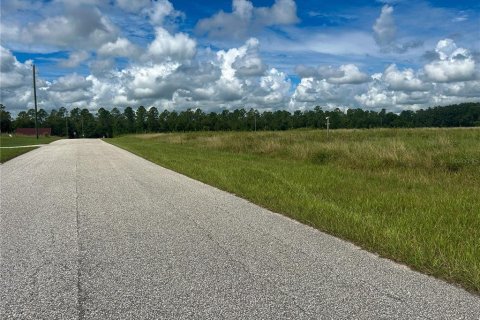 Terrain à vendre à Groveland, Floride № 1363635 - photo 6