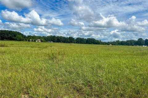 Terreno en venta en Groveland, Florida № 1363635 - foto 7