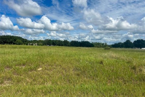 Land in Groveland, Florida № 1363635 - photo 1