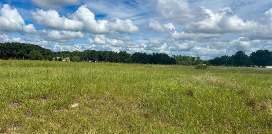 Terreno en Groveland, Florida № 1363635