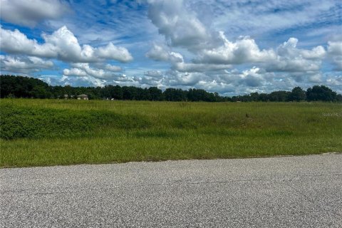 Terrain à vendre à Groveland, Floride № 1363635 - photo 4