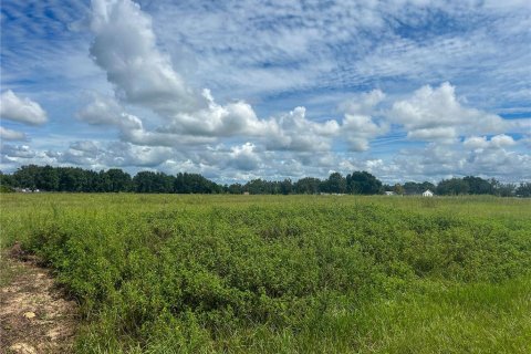 Land in Groveland, Florida № 1363635 - photo 2