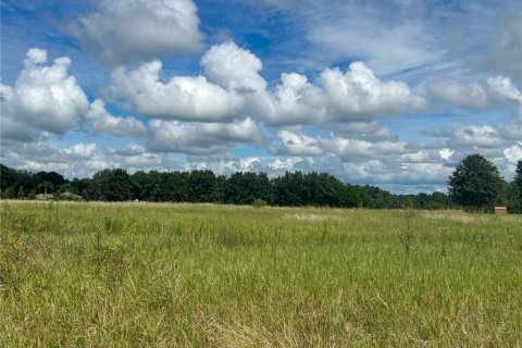 Land in Groveland, Florida № 1363635 - photo 10