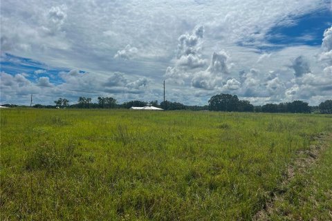 Land in Groveland, Florida № 1363635 - photo 13