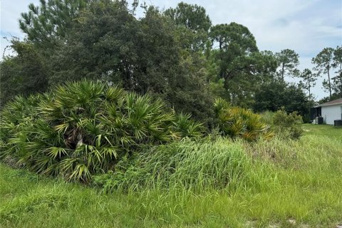 Terreno en venta en Kissimmee, Florida № 1312194 - foto 1