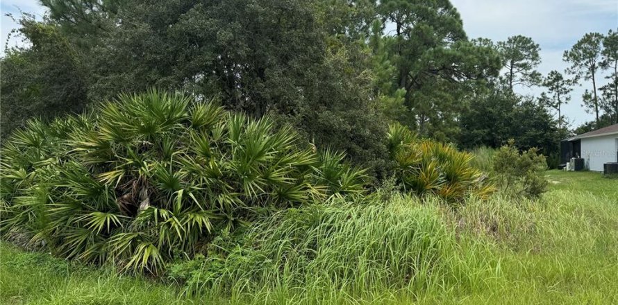 Terrain à Kissimmee, Floride № 1312194