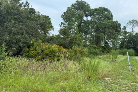 Terrain à vendre à Kissimmee, Floride № 1312194 - photo 4