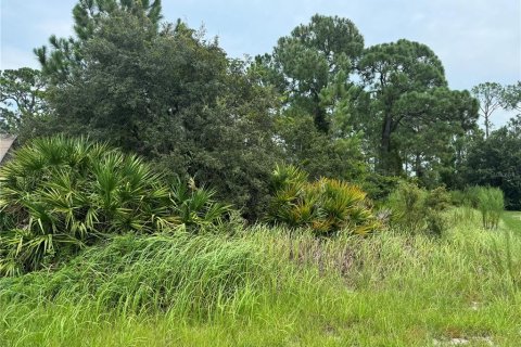 Land in Kissimmee, Florida № 1312194 - photo 3