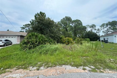 Terreno en venta en Kissimmee, Florida № 1312194 - foto 2