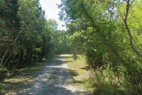 Terrain à vendre à Homosassa, Floride № 1368552 - photo 3