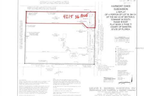 Terreno en venta en Palmetto, Florida № 1280618 - foto 6