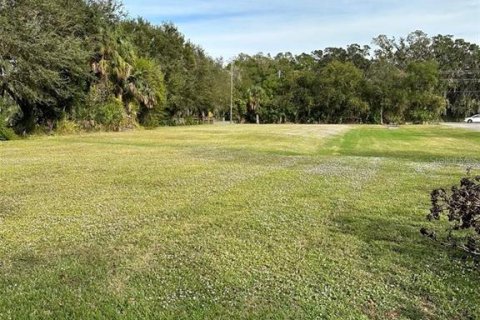 Terreno en venta en Palmetto, Florida № 1280618 - foto 4