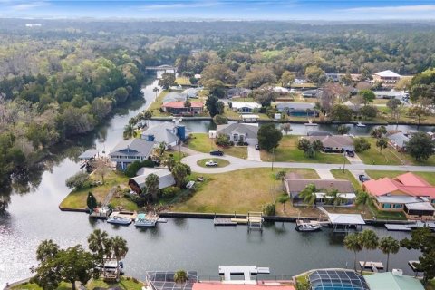 Land in Crystal River, Florida № 1366903 - photo 23