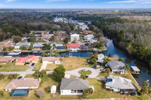 Land in Crystal River, Florida № 1366903 - photo 19