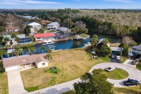 Land in Crystal River, Florida № 1366903 - photo 18