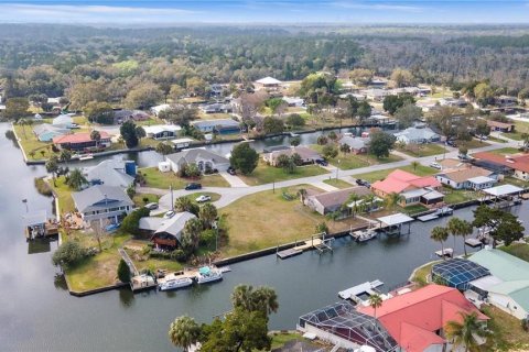 Land in Crystal River, Florida № 1366903 - photo 3