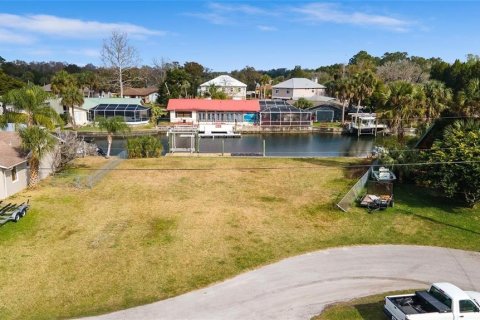 Land in Crystal River, Florida № 1366903 - photo 14