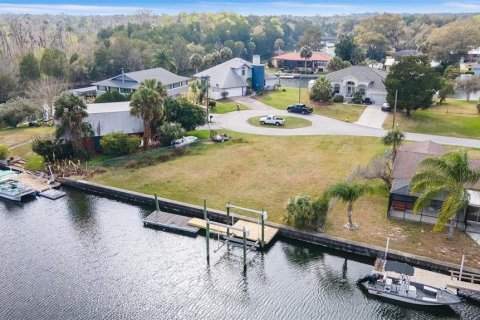 Terreno en venta en Crystal River, Florida № 1366903 - foto 4