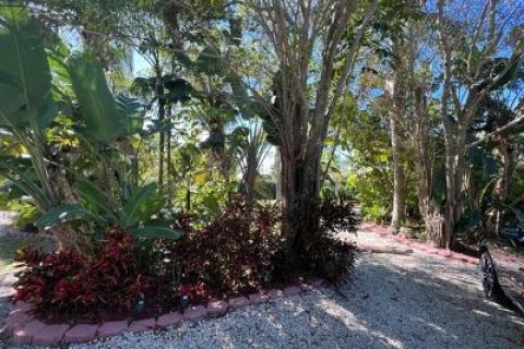 Terrain à vendre à Hobe Sound, Floride № 203949 - photo 6