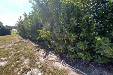 Terrain à vendre à Hobe Sound, Floride № 203949 - photo 17