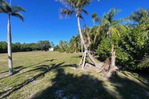 Terrain à vendre à Hobe Sound, Floride № 203949 - photo 21