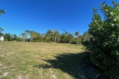 Terrain à vendre à Hobe Sound, Floride № 203949 - photo 14