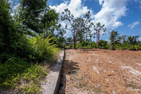 Land in Port Charlotte, Florida № 1190762 - photo 16