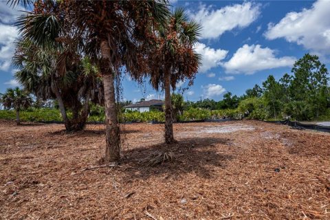 Terreno en venta en Port Charlotte, Florida № 1190762 - foto 14