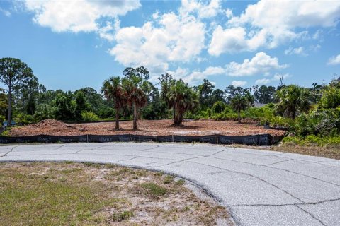 Land in Port Charlotte, Florida № 1190762 - photo 3