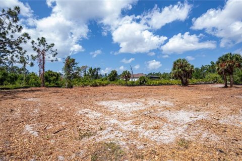 Land in Port Charlotte, Florida № 1190762 - photo 5