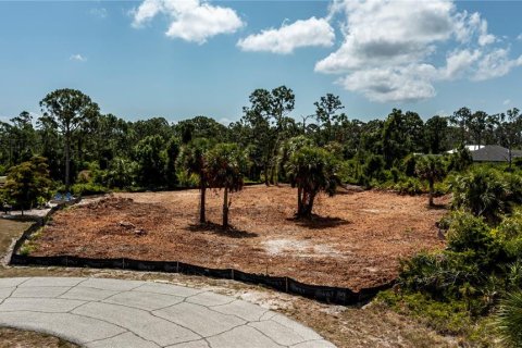 Land in Port Charlotte, Florida № 1190762 - photo 1