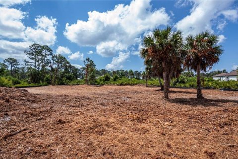 Land in Port Charlotte, Florida № 1190762 - photo 7