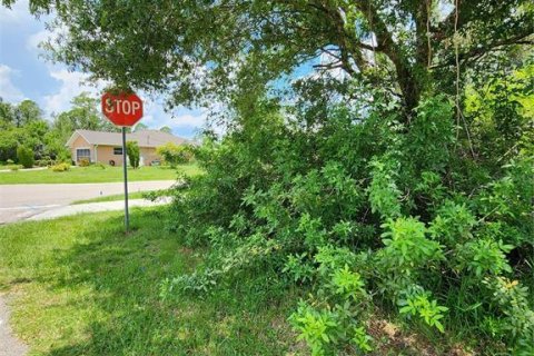 Land in Port Charlotte, Florida № 597624 - photo 4